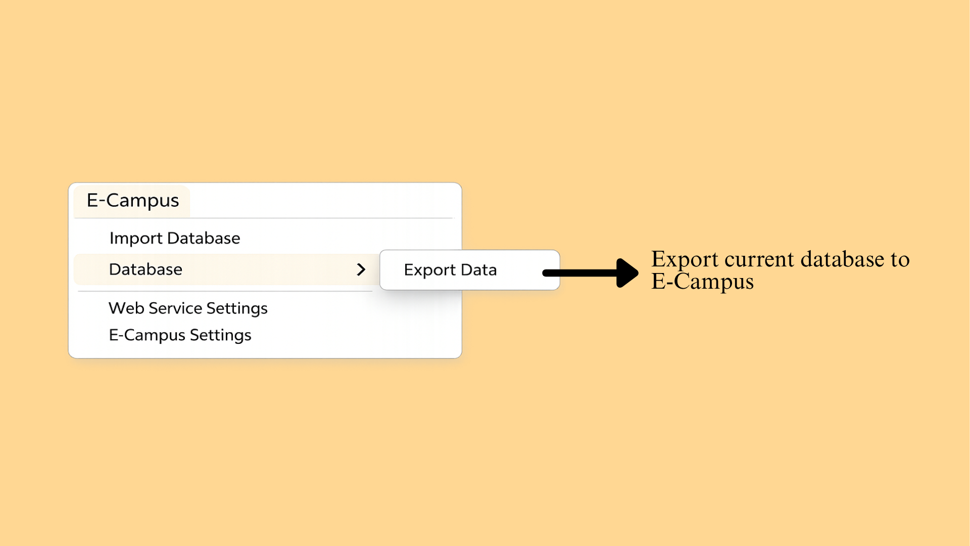 E-Campus menu - Database option