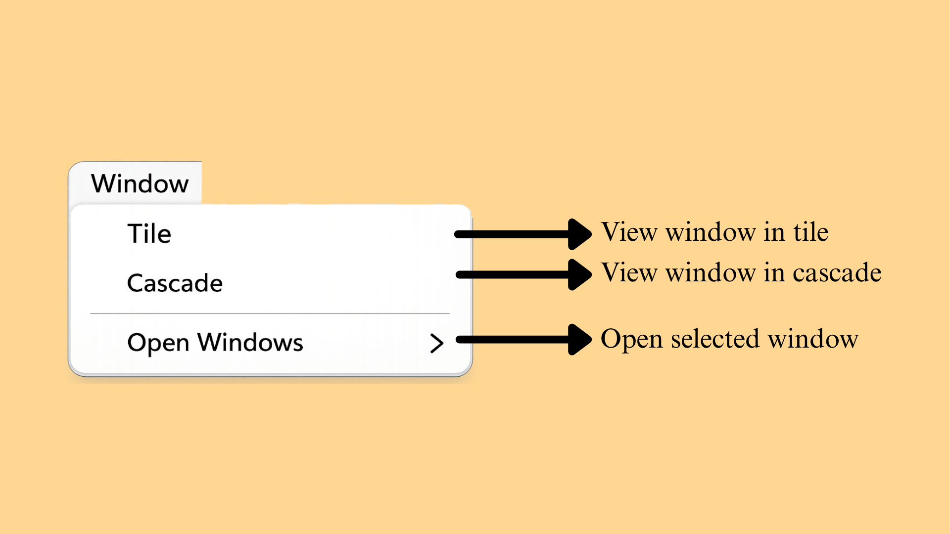 Window menu options
