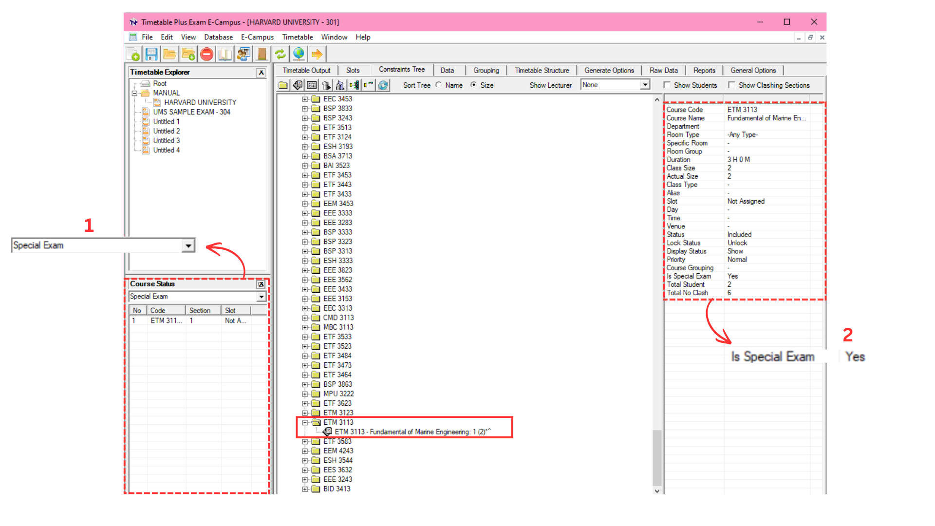 Location to see Special Exam status in Constraint Tree and Section Summary