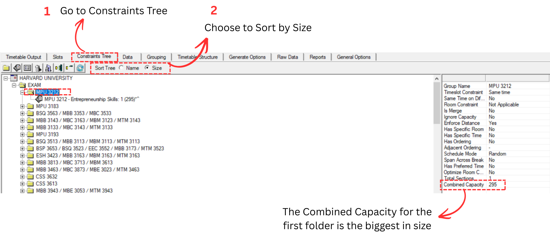 Constraints Tree tab with Sort Tree by Size selected, showing courses sorted by Combined Capacity